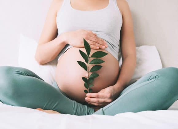 Low-carb diet boosts fertility in women with PCOS Pregnant woman holds green sprout plant near her belly as symbol of new life, wellbeing, fertility