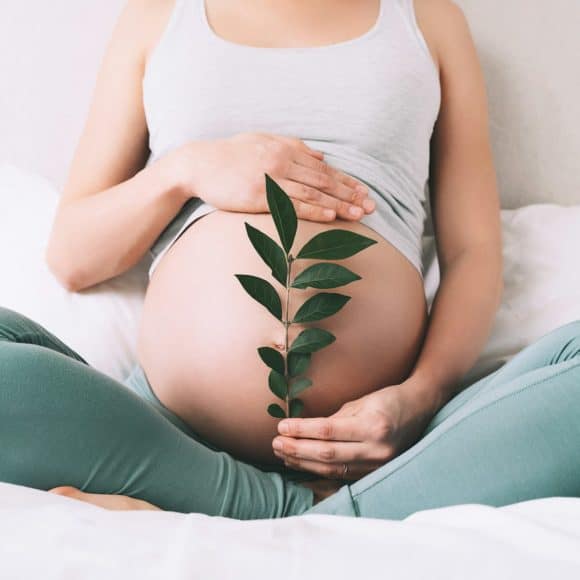 Pregnant woman holds green sprout plant near her belly as symbol of new life, wellbeing, fertility