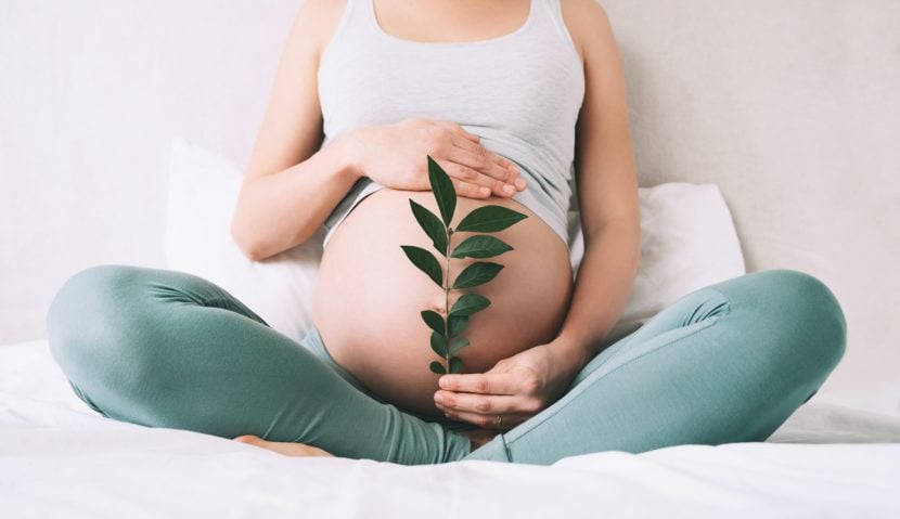Low-carb diet boosts fertility in women with PCOS Pregnant woman holds green sprout plant near her belly as symbol of new life, wellbeing, fertility